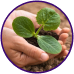 Agriculture Products