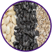 Seeds
